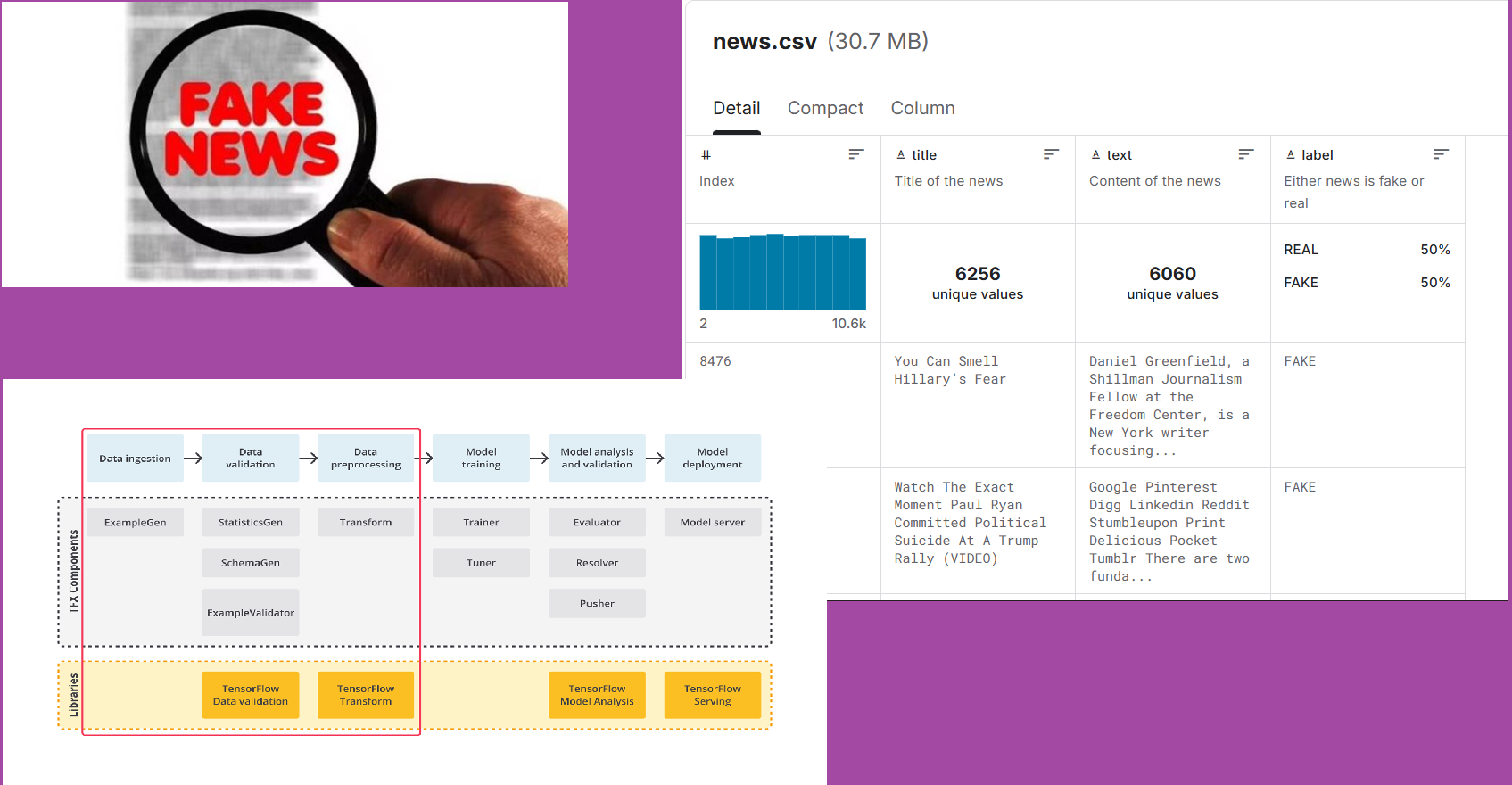 End-to-End Fake News Prediction System