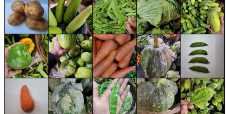 Vegetables Image Classification